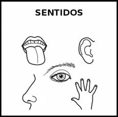 SENTIDOS - Pictograma (blanco y negro)