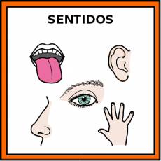 SENTIDOS - Pictograma (color)