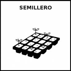 SEMILLERO - Pictograma (blanco y negro)
