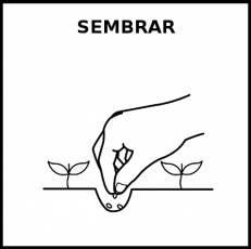 SEMBRAR - Pictograma (blanco y negro)