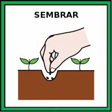 SEMBRAR - Pictograma (color)