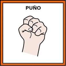 PUÑO - Pictograma (color)