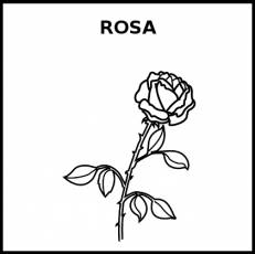 ROSA (FLOR) - Pictograma (blanco y negro)