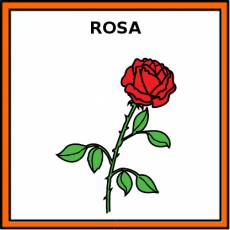 ROSA (FLOR) - Pictograma (color)