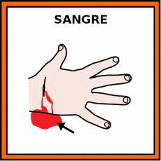 SANGRE - Pictograma (color)