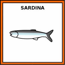 SARDINA (ANIMAL) - Pictograma (color)
