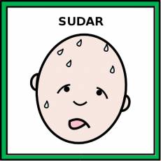 SUDAR - Pictograma (color)
