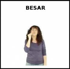 BESAR - Signo