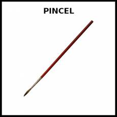 PINCEL - Foto