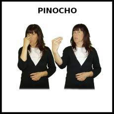 PINOCHO - Signo