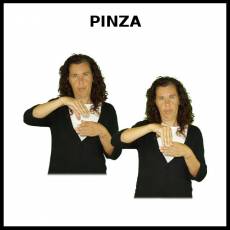 PINZA (TENDER) - Signo