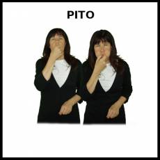 PITO - Signo