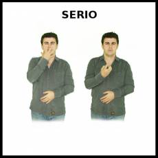 SERIO - Signo
