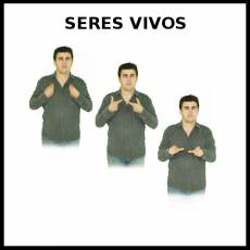 SERES VIVOS - Signo