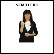 SEMILLERO - Signo