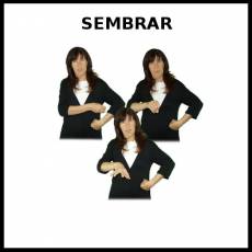 SEMBRAR - Signo