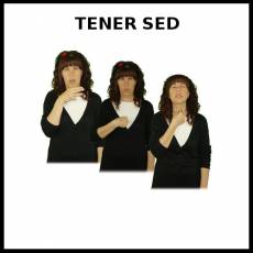 TENER SED - Signo