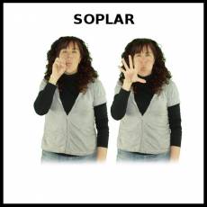 SOPLAR - Signo