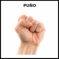 PUÑO - Foto