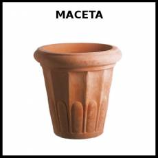 MACETA - Foto