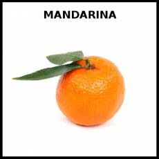 MANDARINA - Foto