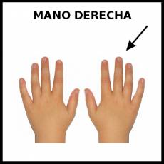 MANO DERECHA - Foto