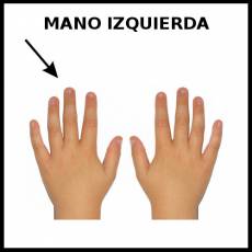MANO IZQUIERDA - Foto
