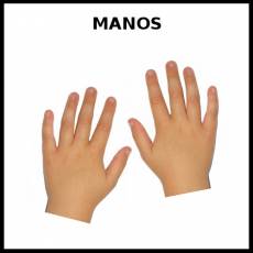 MANOS - Foto