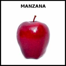 MANZANA - Foto