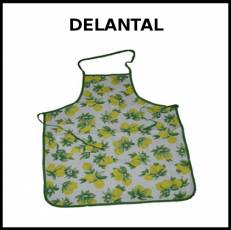 DELANTAL - Foto
