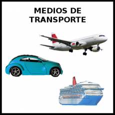 MEDIOS DE TRANSPORTE - Foto