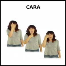 CARA - Signo