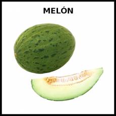 MELÓN - Foto