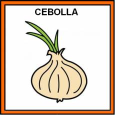 CEBOLLA - Pictograma (color)