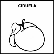 CIRUELA - Pictograma (blanco y negro)