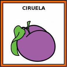 CIRUELA - Pictograma (color)