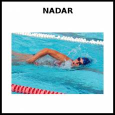 NADAR - Foto
