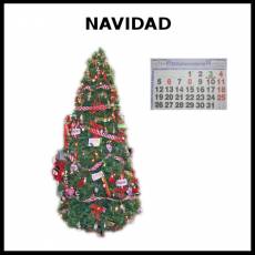 NAVIDAD - Foto