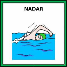 NADAR - Pictograma (color)