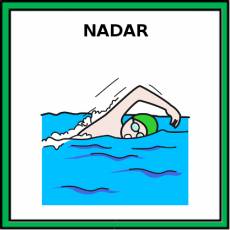 NADAR - Pictograma (color)
