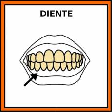 DIENTE - Pictograma (color)