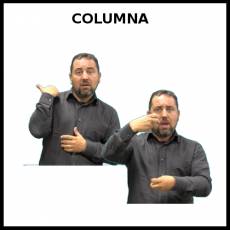 COLUMNA (VERTEBRAL) - Signo