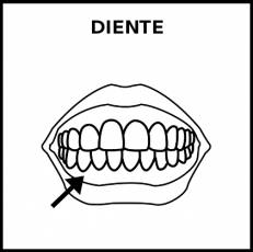 DIENTE - Pictograma (blanco y negro)