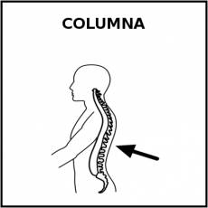 COLUMNA (VERTEBRAL) - Pictograma (blanco y negro)