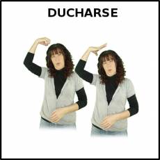 DUCHARSE - Signo