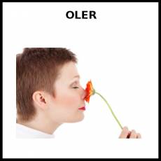 OLER - Foto