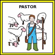PASTOR - Pictograma (color)