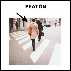 PEATÓN - Foto