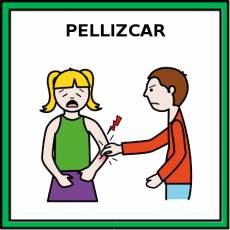 PELLIZCAR - Pictograma (color)