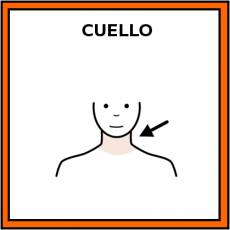 CUELLO - Pictograma (color)